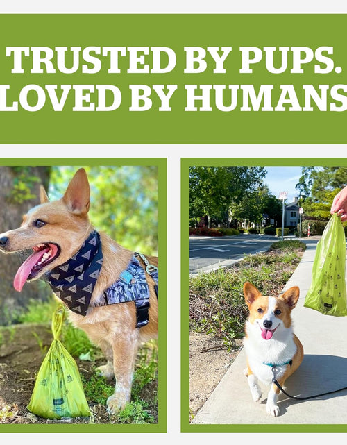 Load image into Gallery viewer, Pogi'S Dog Poop Bags with Easy-Tie Handles - 300 Doggy Leak-Proof, Ultra Thick, Scented Poop Bags for Dogs, Cat
