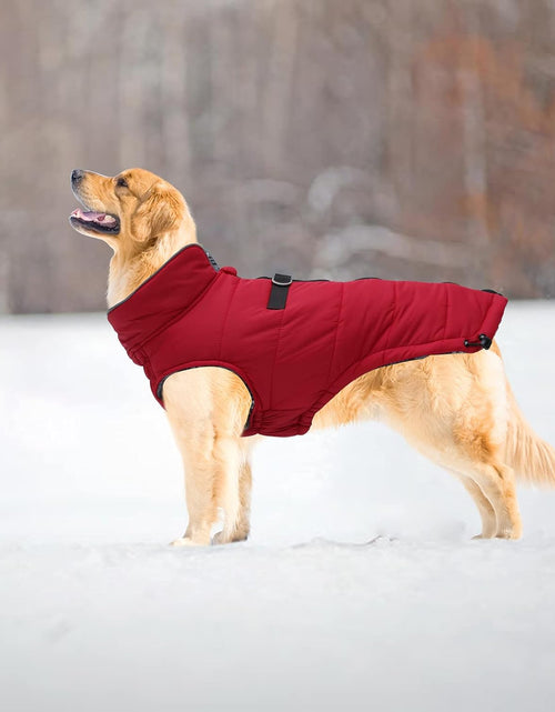 Load image into Gallery viewer, Dog Winter Warm Coat Jacket, Windproof Snowproof, Pet Outdoor Jacket for Small to Large Dogs - Red - XXL
