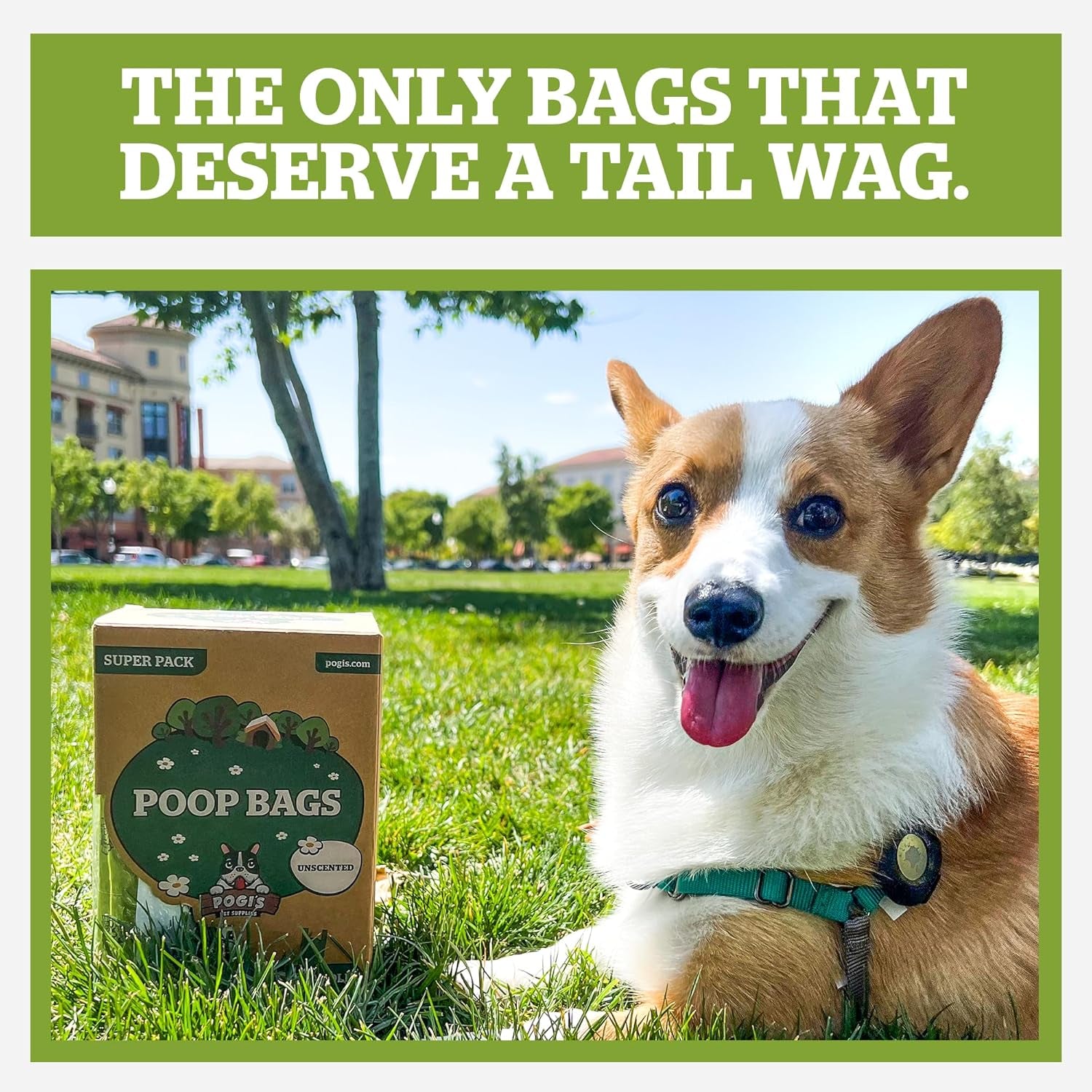 Pogi'S Dog Poop Bags with Easy-Tie Handles - 300 Doggy Leak-Proof, Ultra Thick, Scented Poop Bags for Dogs, Cat