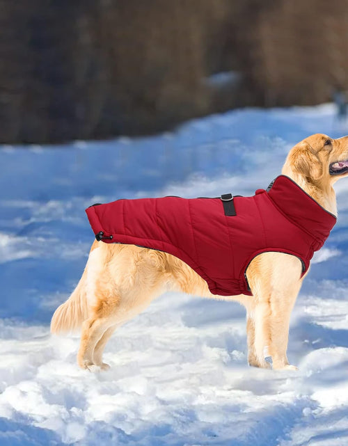 Load image into Gallery viewer, Dog Winter Warm Coat Jacket, Windproof Snowproof, Pet Outdoor Jacket for Small to Large Dogs - Red - XXL
